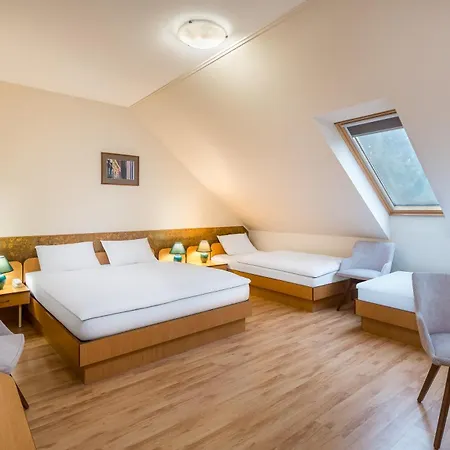 Hotel Platan 3*