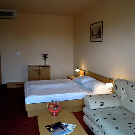 Platan Hotel Debrecen